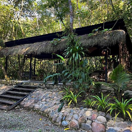 Kuyana Amazon Lodge Archidona Екстер'єр фото
