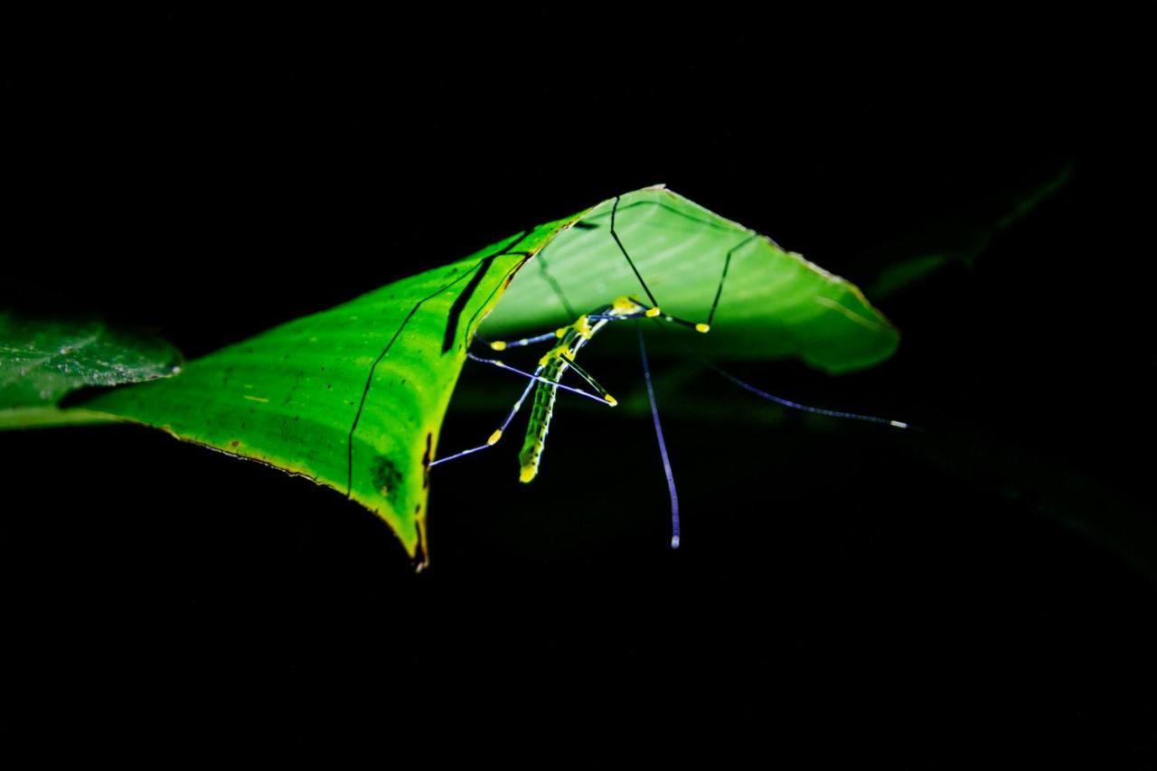 Kuyana Amazon Lodge Archidona Екстер'єр фото